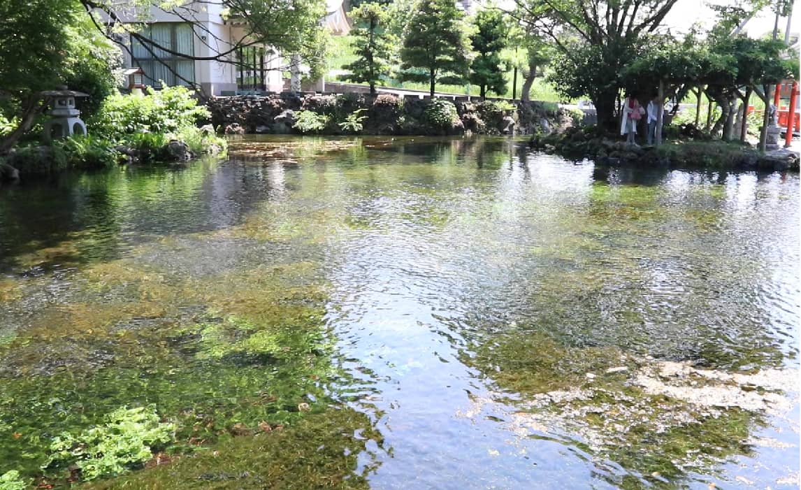 羽毛布団を洗う富士山の湧水