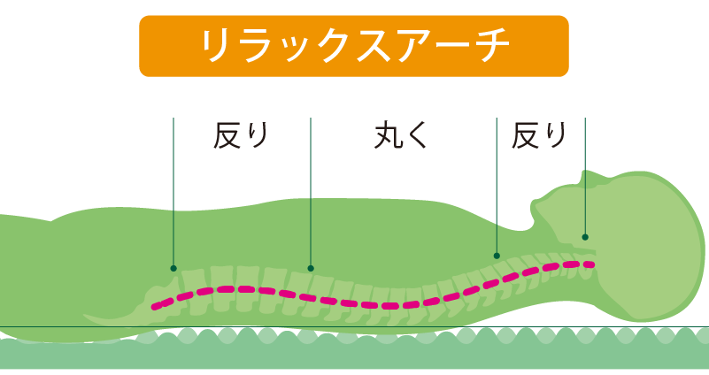 リラックスアーチは理想的な寝姿勢。腰痛対策に加えて、脳ではα波が出てリラックスモード。
