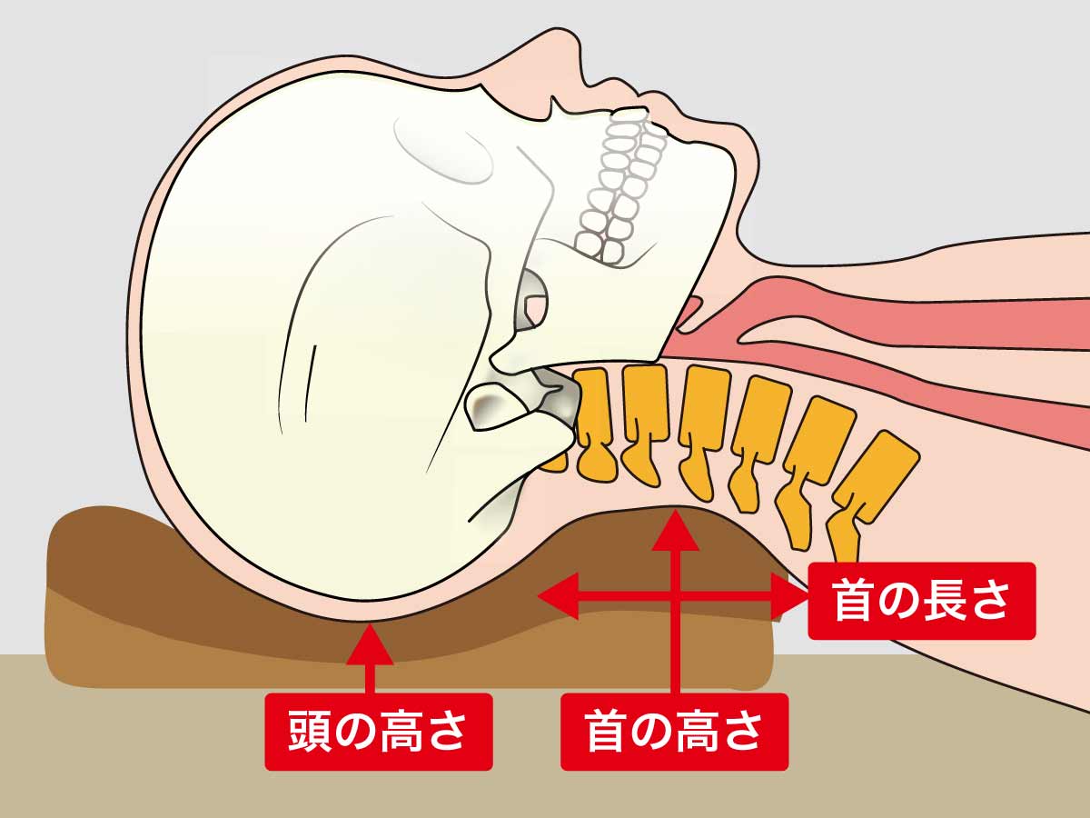 あなたに合ったオーダーメイド枕の測定