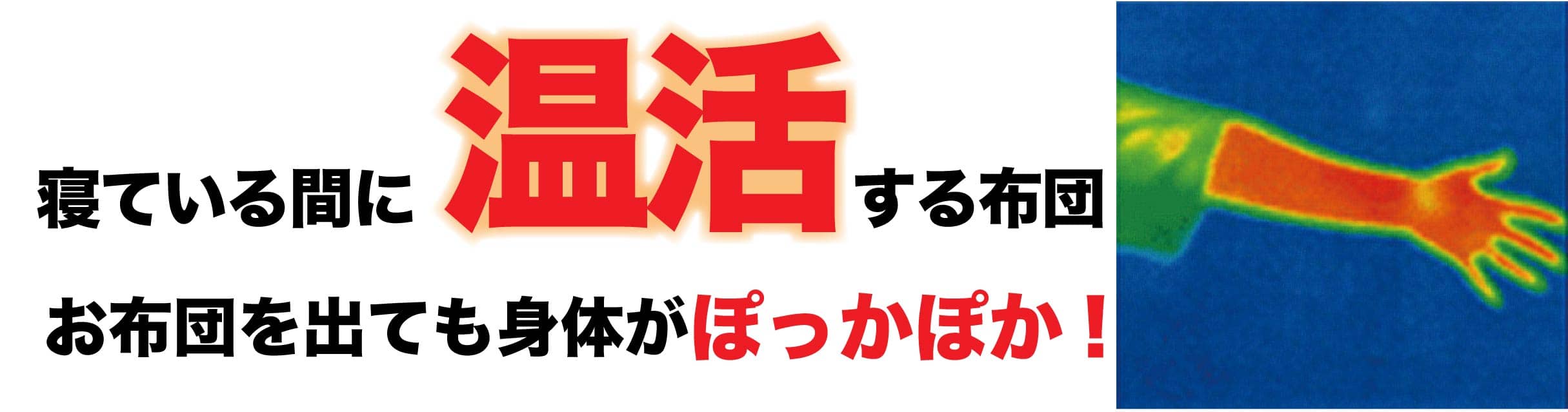 寝ている間に温活する掛布団