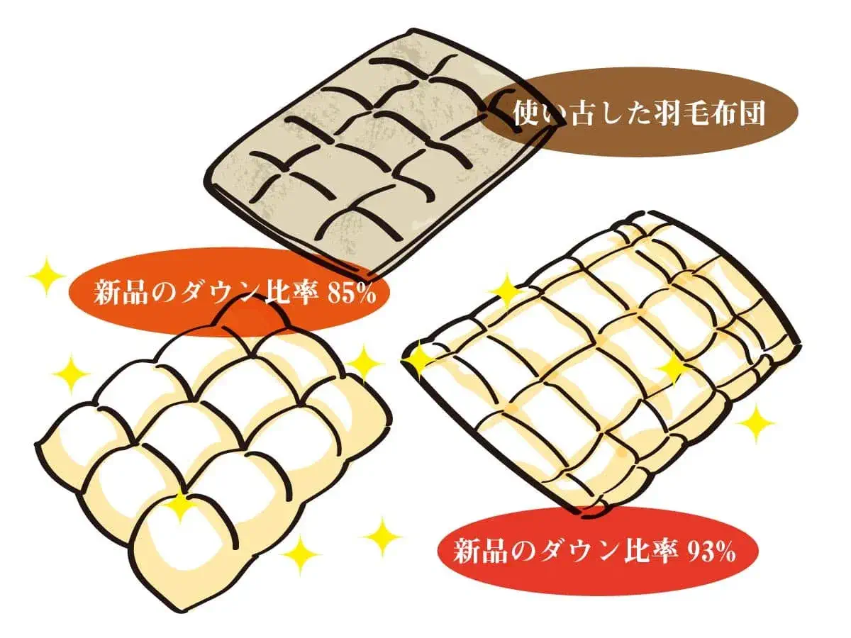 良質な羽毛でも量が少なければ温かくないことが明らかに