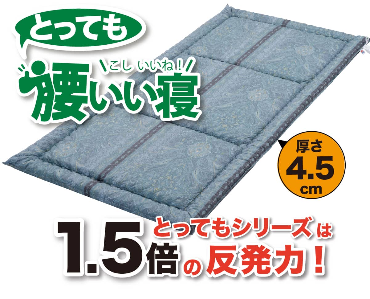 「とっても腰いい寝」