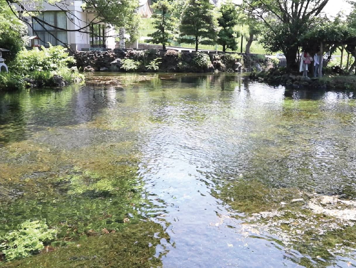 羽毛のお直し　羽毛を洗う富士山の湧水